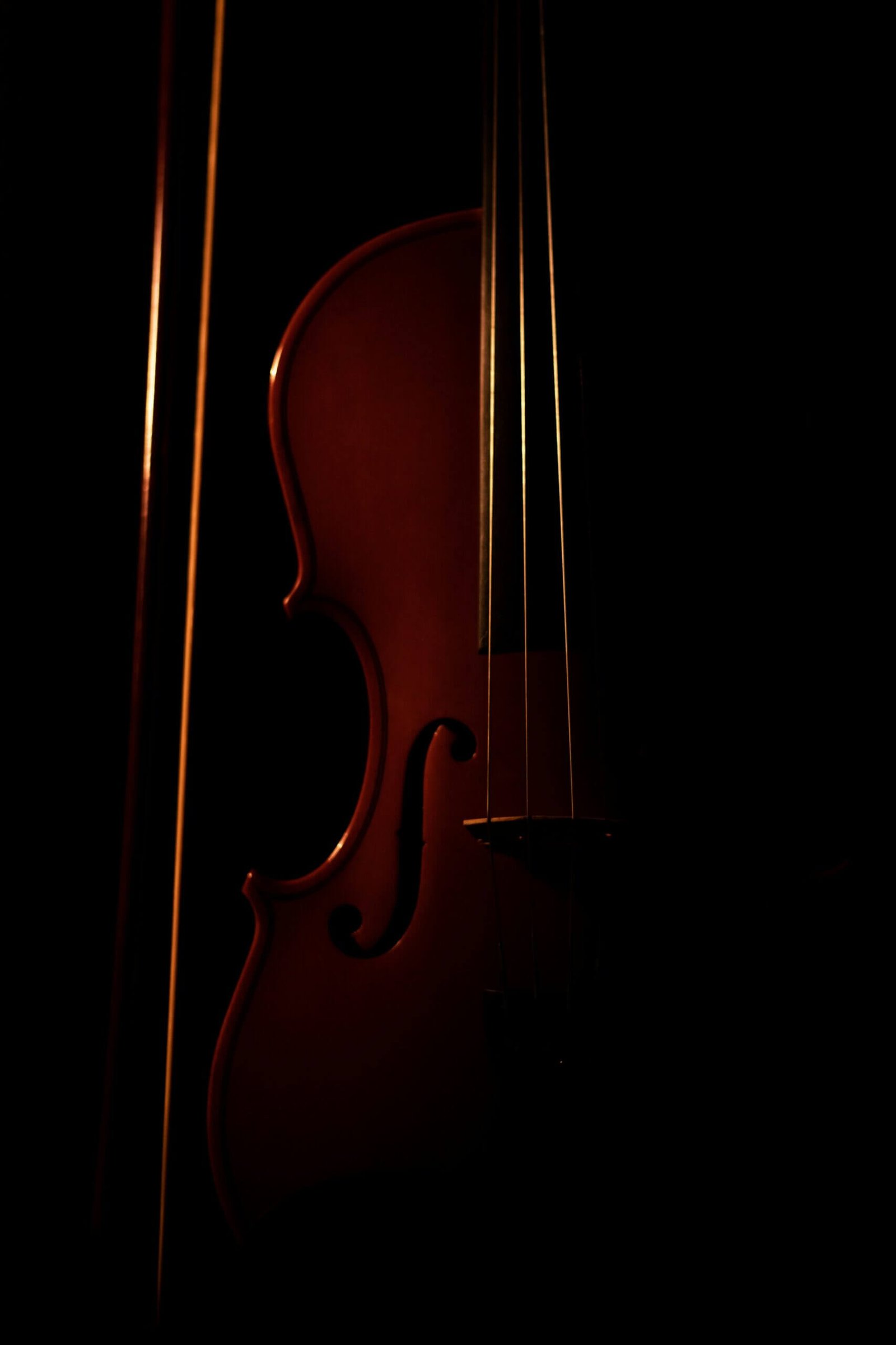 The History of the Violin: Origins, Development, and Future Possibilities The History of the Violin: Origins, Development, and Future Possibilities