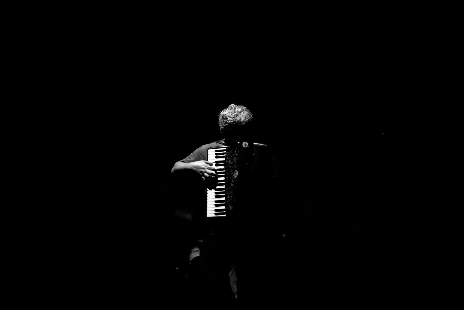 The History and Evolution of the Accordion and Its Derivatives The History and Evolution of the Accordion and Its Derivatives